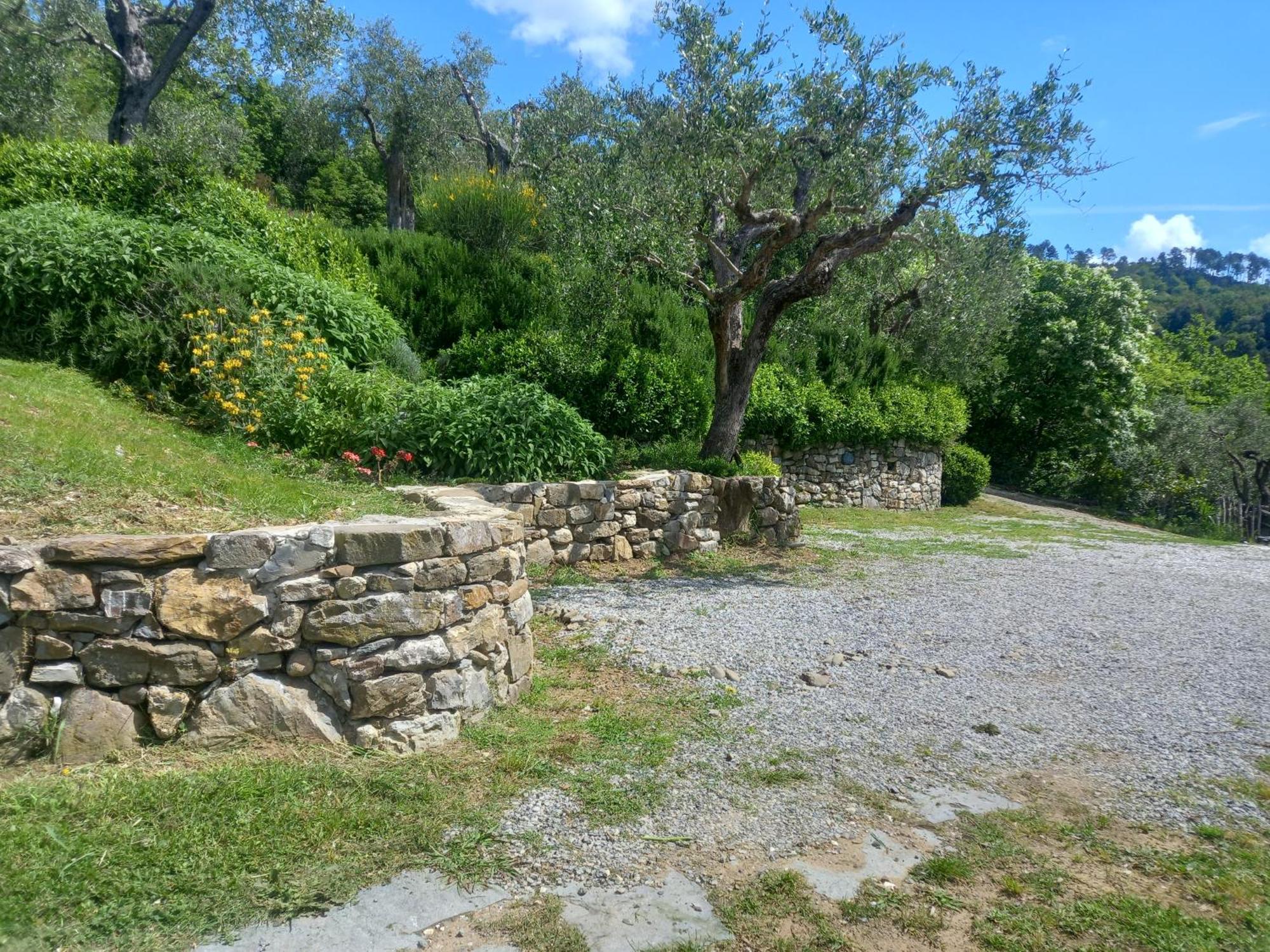 Hotel Il Colle Della Brina Sarzana Zewnętrze zdjęcie