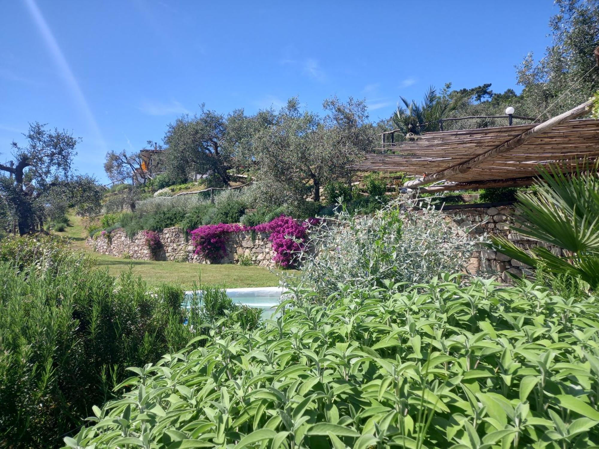Hotel Il Colle Della Brina Sarzana Zewnętrze zdjęcie