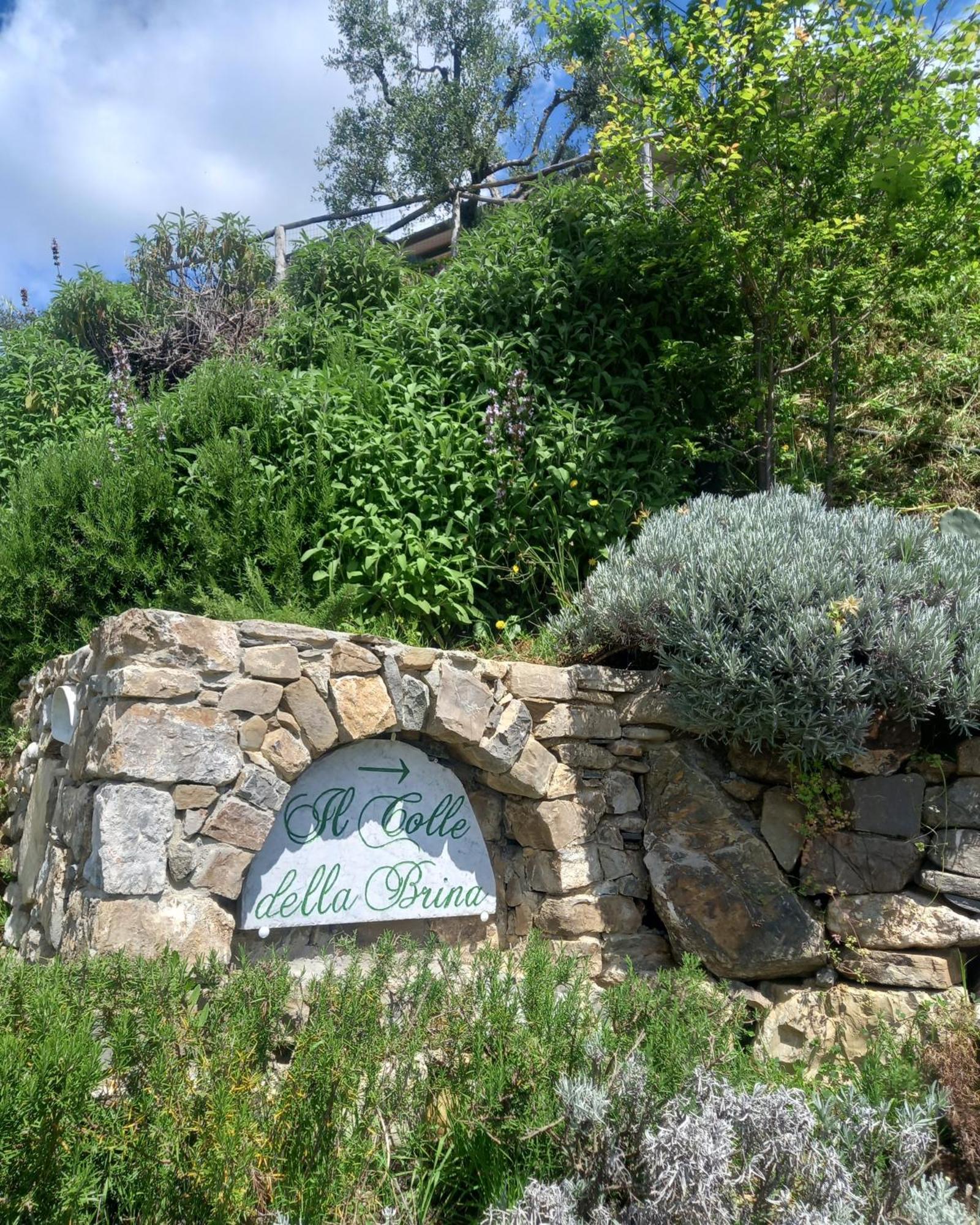 Hotel Il Colle Della Brina Sarzana Zewnętrze zdjęcie
