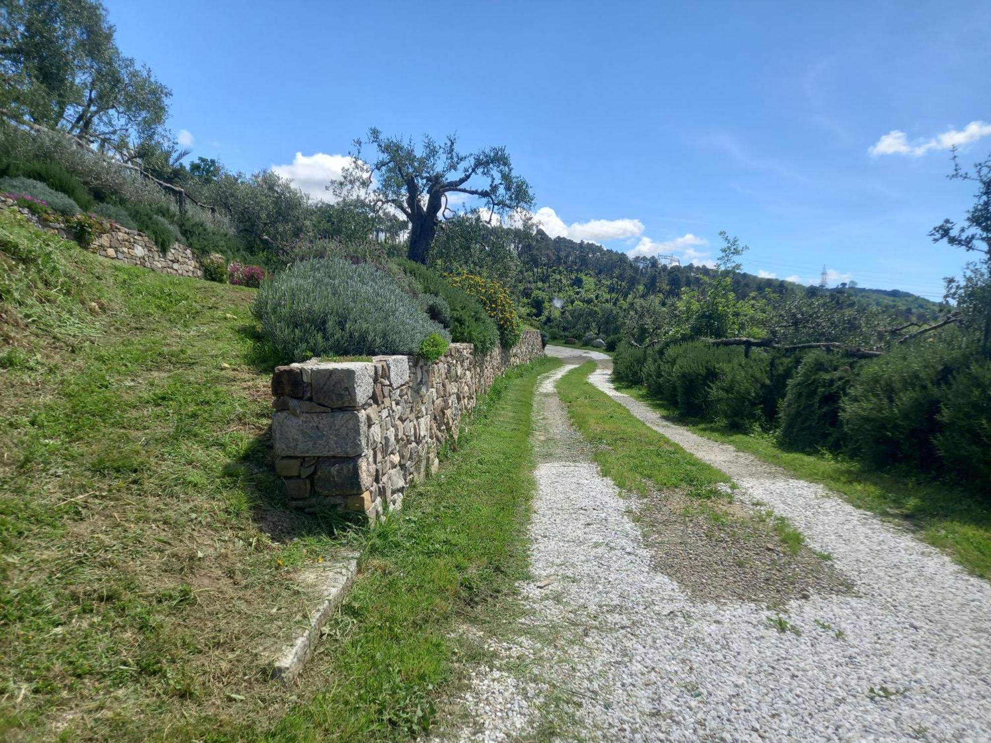 Hotel Il Colle Della Brina Sarzana Zewnętrze zdjęcie